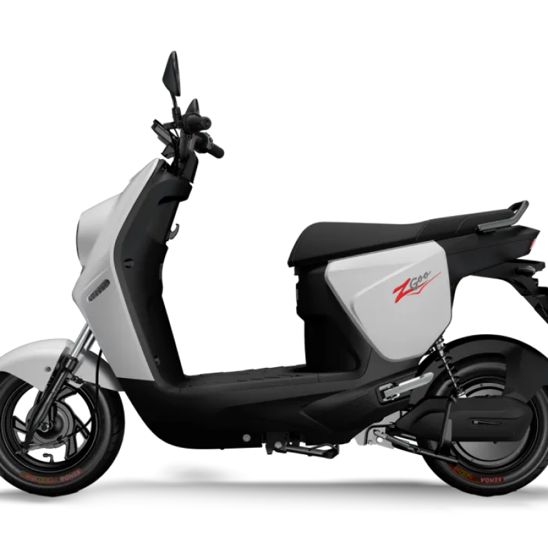 Xe Điện ZGoo 